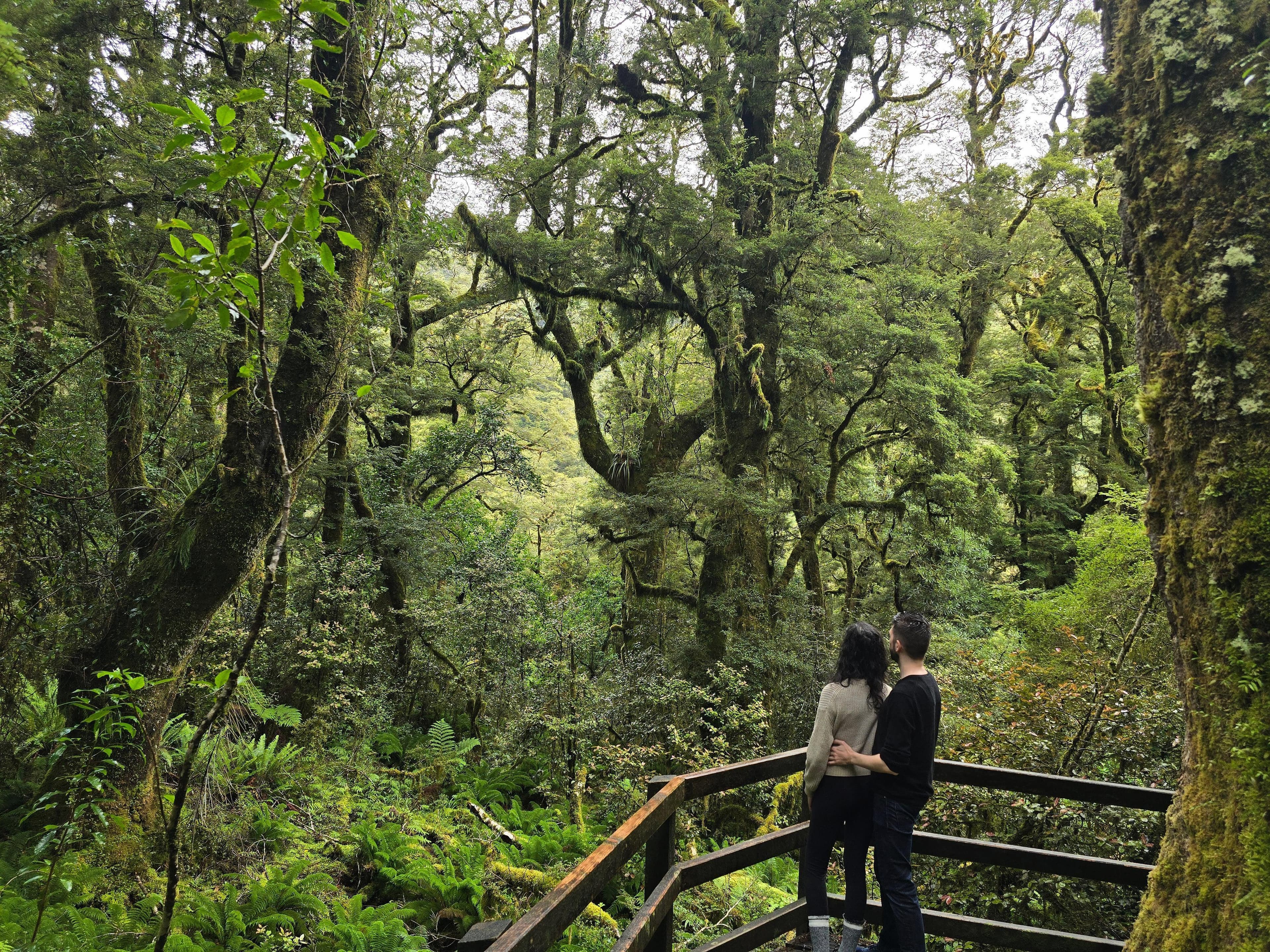Jack and Yasmin in a New Zealand rainforest